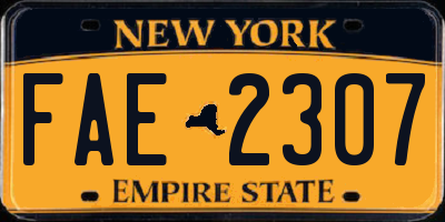 NY license plate FAE2307