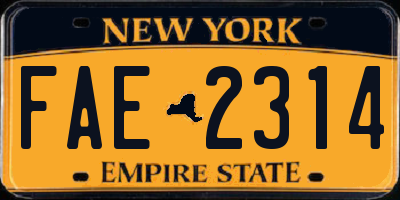 NY license plate FAE2314