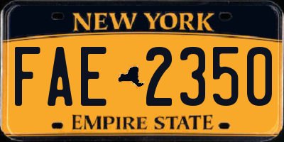 NY license plate FAE2350