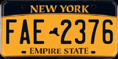 NY license plate FAE2376