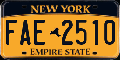 NY license plate FAE2510