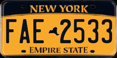 NY license plate FAE2533