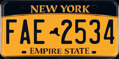 NY license plate FAE2534