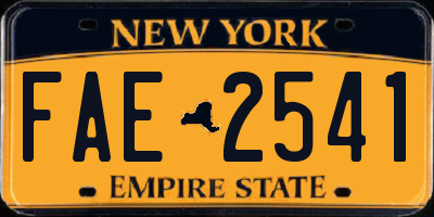 NY license plate FAE2541