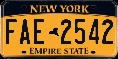 NY license plate FAE2542