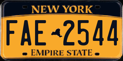 NY license plate FAE2544