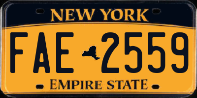 NY license plate FAE2559