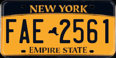 NY license plate FAE2561