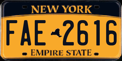 NY license plate FAE2616