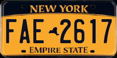 NY license plate FAE2617