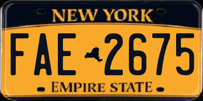 NY license plate FAE2675