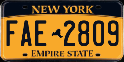 NY license plate FAE2809