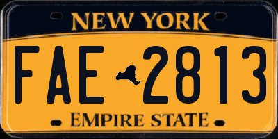 NY license plate FAE2813