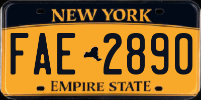 NY license plate FAE2890