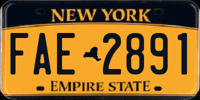 NY license plate FAE2891