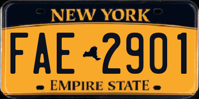 NY license plate FAE2901