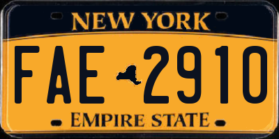 NY license plate FAE2910