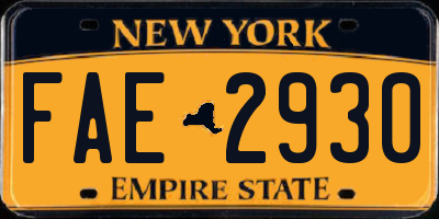 NY license plate FAE2930