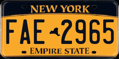 NY license plate FAE2965