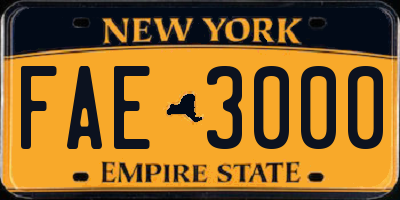 NY license plate FAE3000