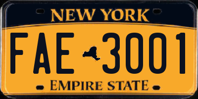 NY license plate FAE3001