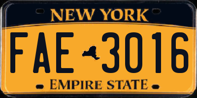 NY license plate FAE3016