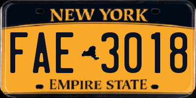 NY license plate FAE3018