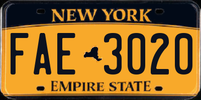 NY license plate FAE3020