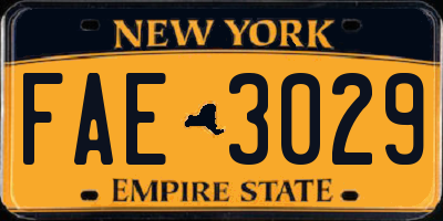 NY license plate FAE3029