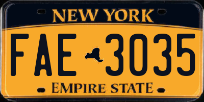 NY license plate FAE3035