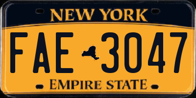 NY license plate FAE3047