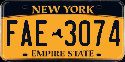 NY license plate FAE3074