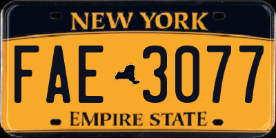 NY license plate FAE3077
