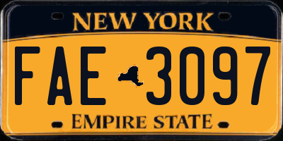 NY license plate FAE3097