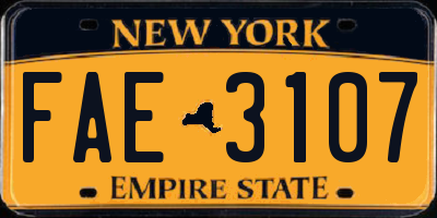 NY license plate FAE3107