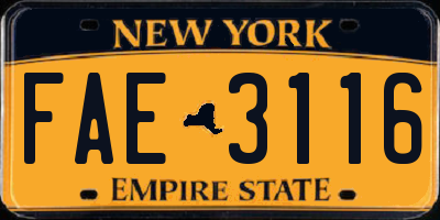 NY license plate FAE3116