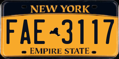 NY license plate FAE3117