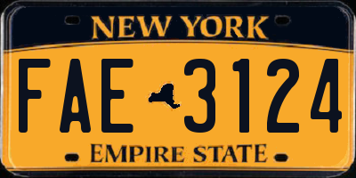 NY license plate FAE3124