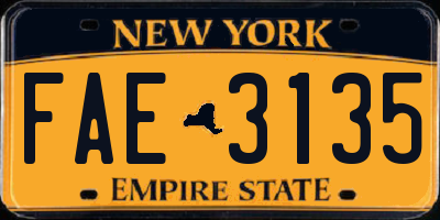 NY license plate FAE3135
