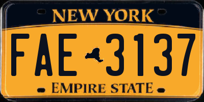 NY license plate FAE3137