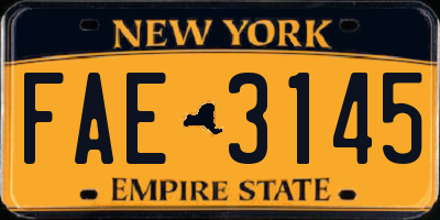 NY license plate FAE3145