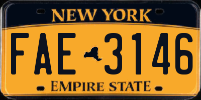 NY license plate FAE3146