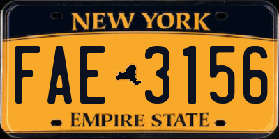 NY license plate FAE3156