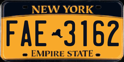 NY license plate FAE3162