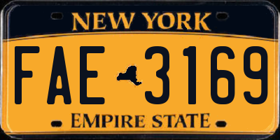 NY license plate FAE3169