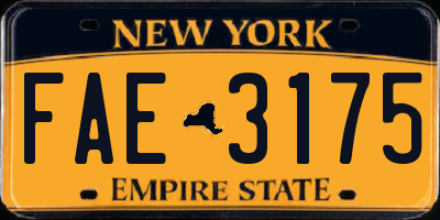 NY license plate FAE3175