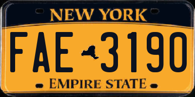 NY license plate FAE3190
