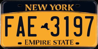 NY license plate FAE3197