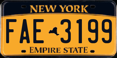 NY license plate FAE3199