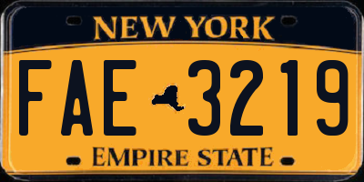 NY license plate FAE3219